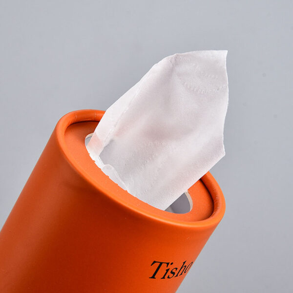Facial Tissue Paper Tube Packaging