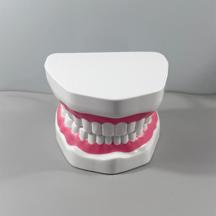 Why Success in Esthetic Anterior Restorations Depends More on Teamwork Than on Technique Alone